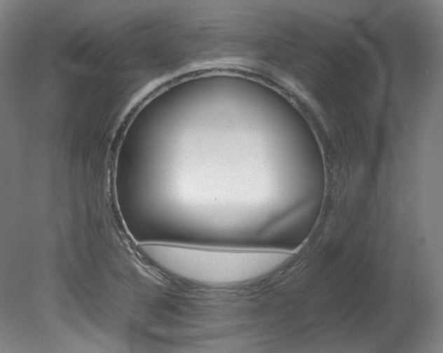 X0000082151316200701191013