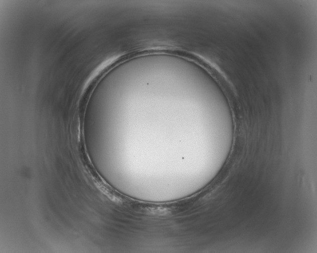 X0000082151317200701191013