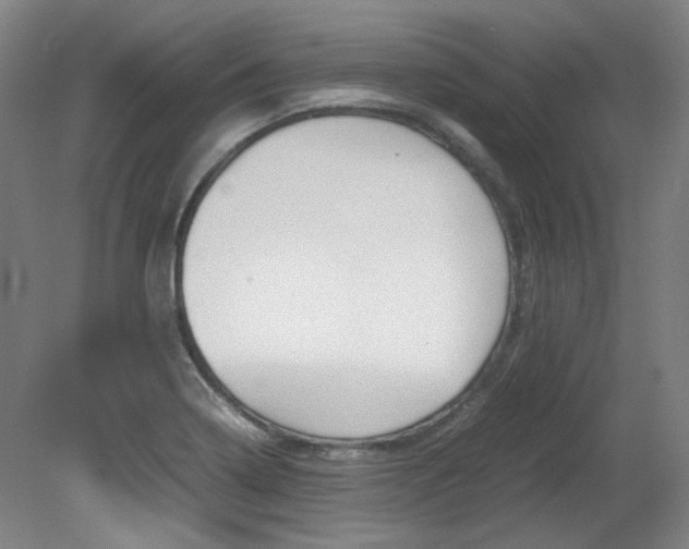 X0000082151322200701191013