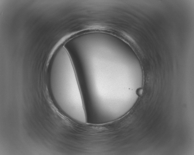 X0000082151323200701191013