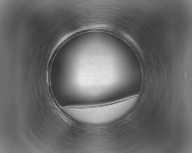 X0000082151324200701191013