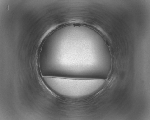 X0000082151325200701191013