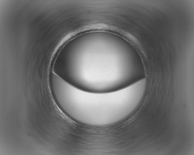 X0000082151326200701191013