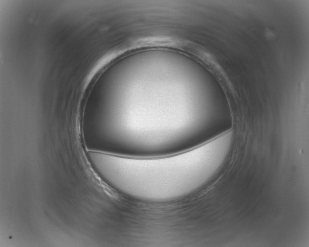 X0000082151328200701191013
