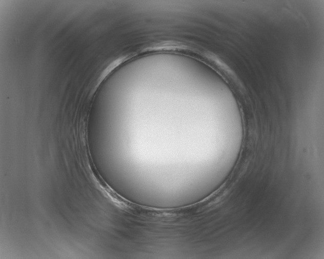 X0000082151329200701191013