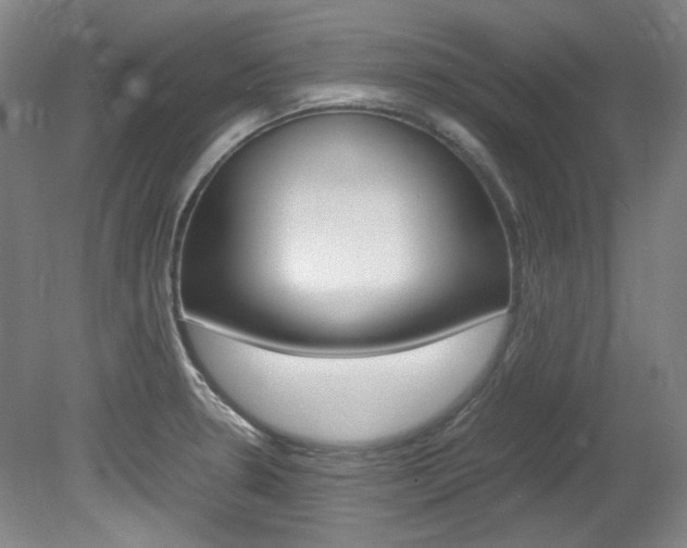 X0000082151330200701191013