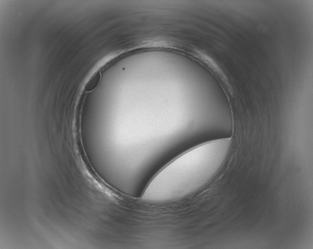 X0000082151331200701191013