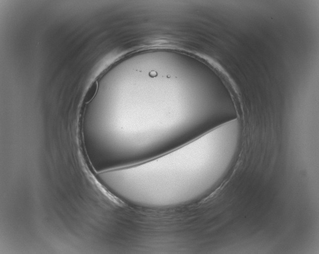 X0000082151333200701191014