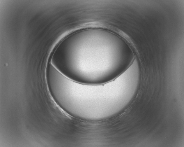 X0000082151334200701191014