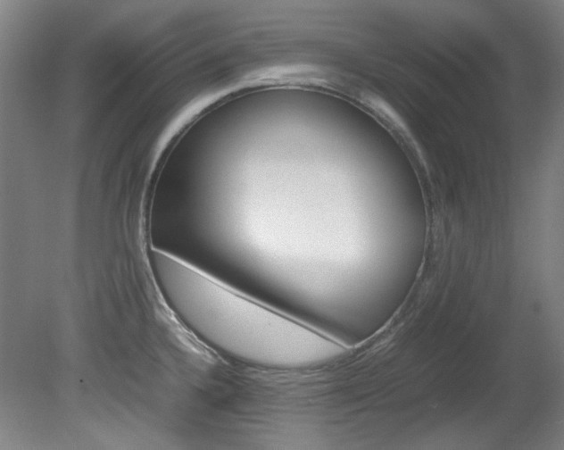 X0000082151336200701191014