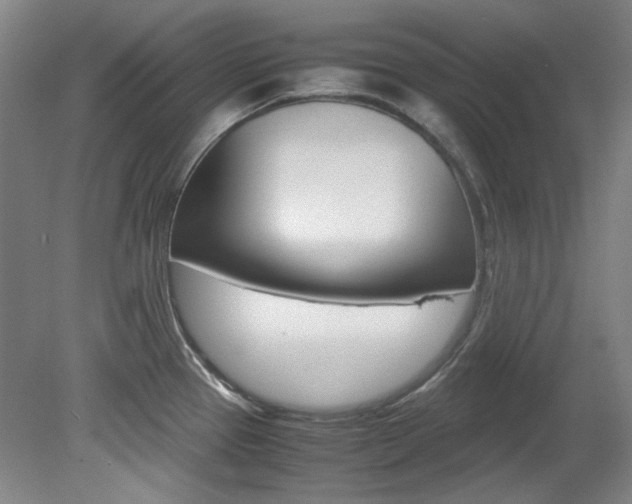 X0000082151337200701191014