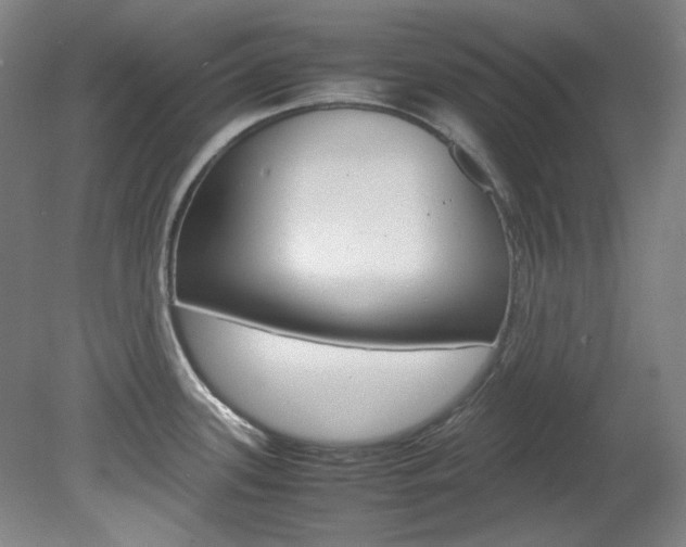 X0000082151339200701191014