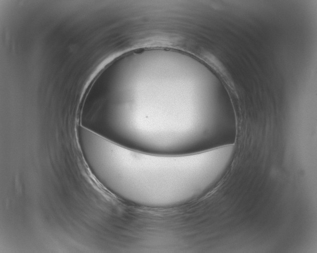 X0000082151340200701191014