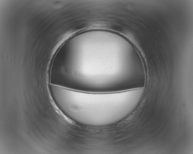 X0000082151341200701191014