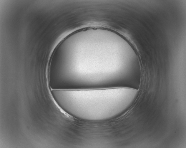 X0000082151343200701191014