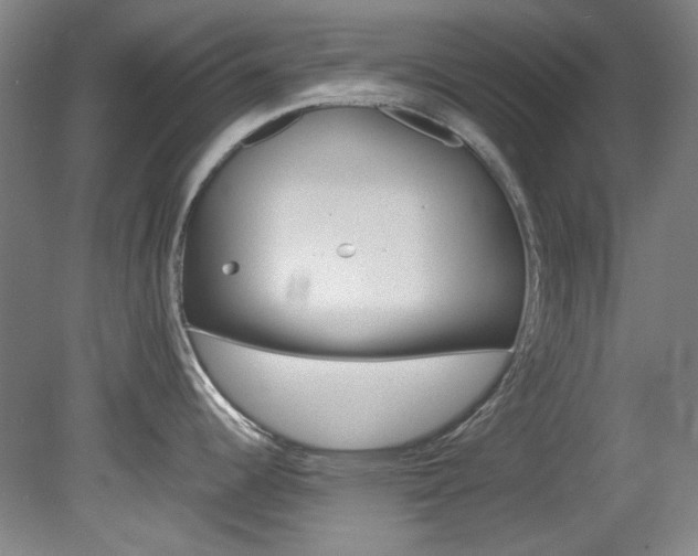 X0000082151344200701191014
