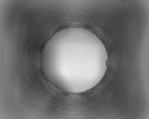 X0000082151346200701191013