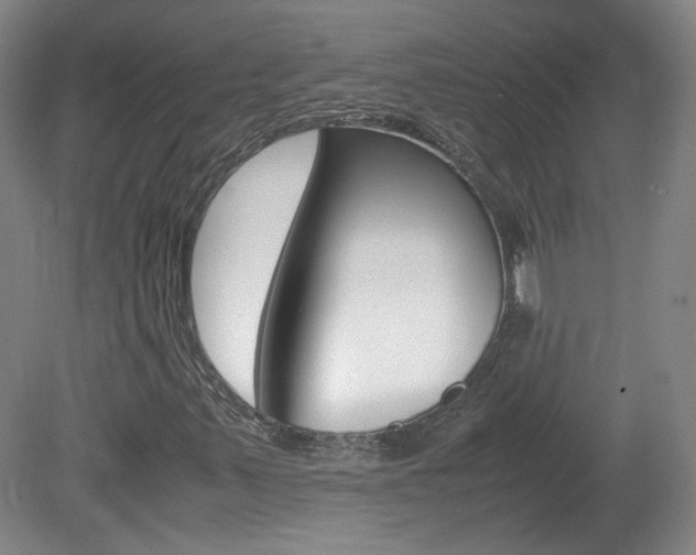 X0000082151347200701191013