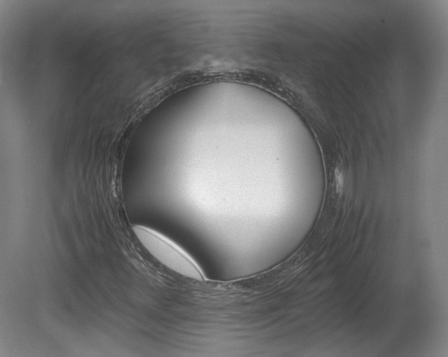 X0000082151348200701191013