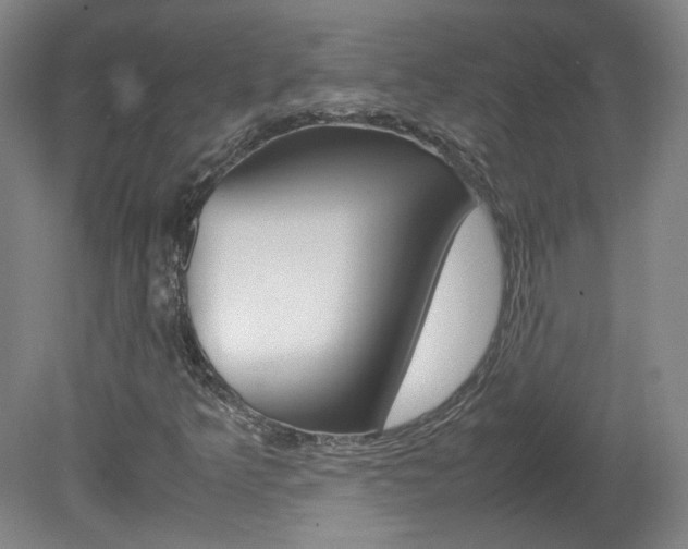 X0000082151349200701191013