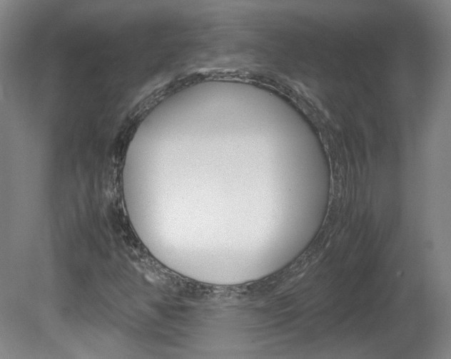 X0000082151350200701191013