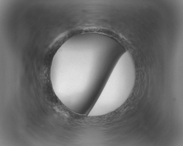 X0000082151351200701191013