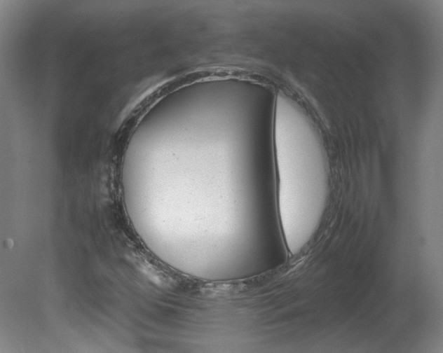 X0000082151352200701191013