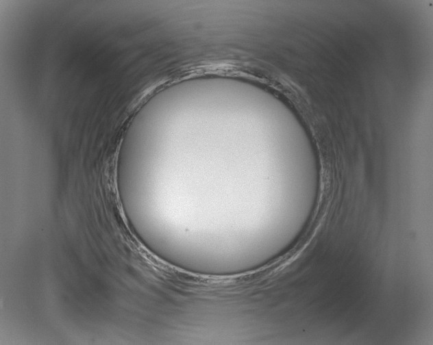 X0000082151353200701191013
