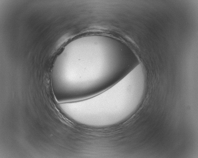 X0000082151355200701191013