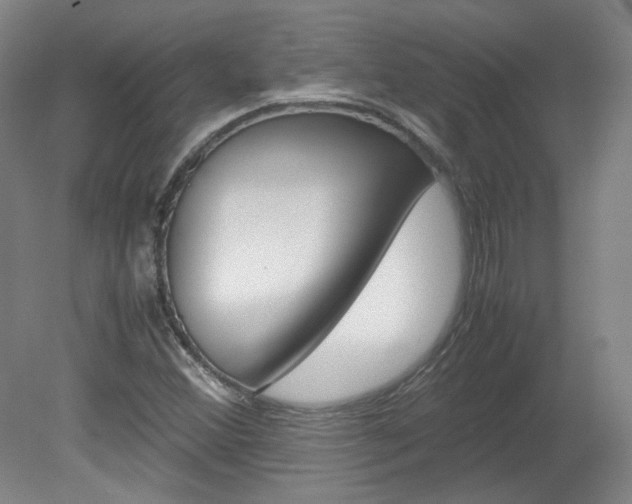 X0000082151356200701191013