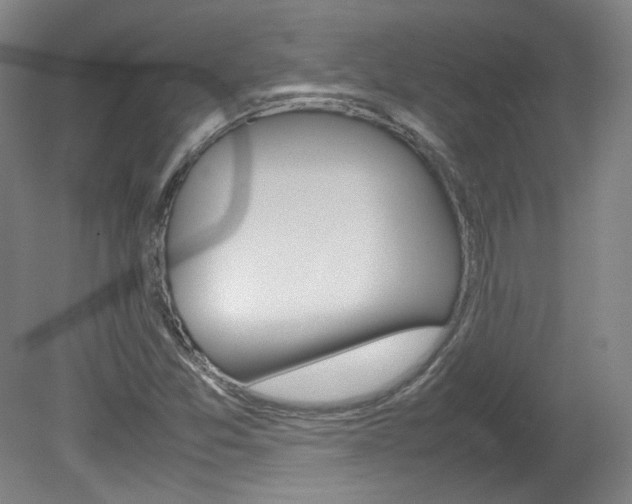 X0000082151357200701191013