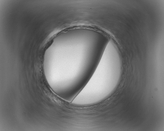 X0000082151359200701191013