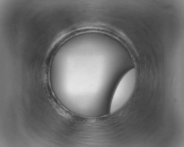 X0000082151360200701191013