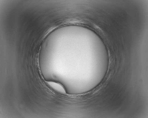 X0000082151361200701191013