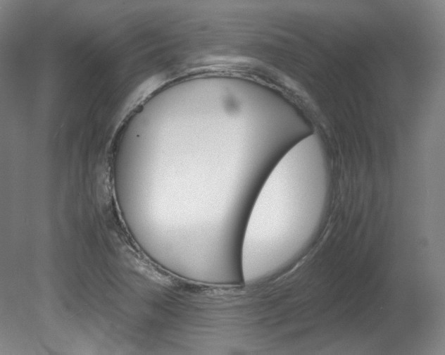 X0000082151362200701191013