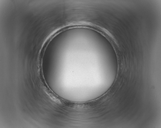 X0000082151364200701191013