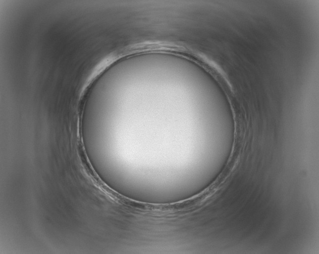 X0000082151365200701191013