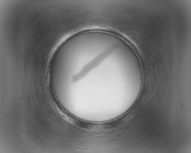 X0000082151367200701191013