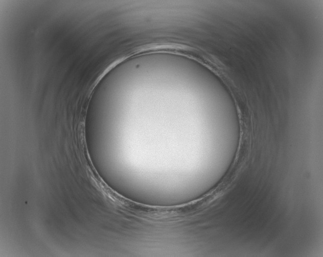 X0000082151369200701191012