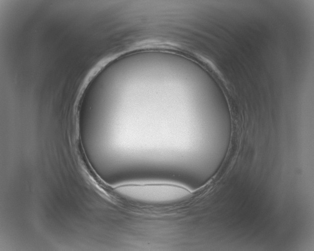 X0000082151371200701191012