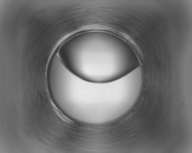 X0000082151372200701191012