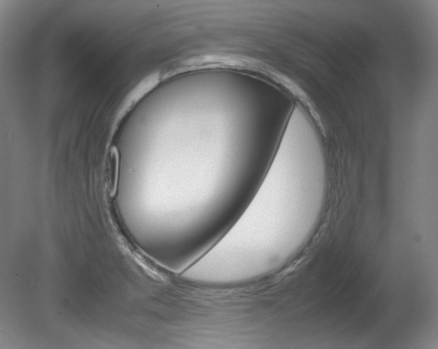 X0000082151373200701191012