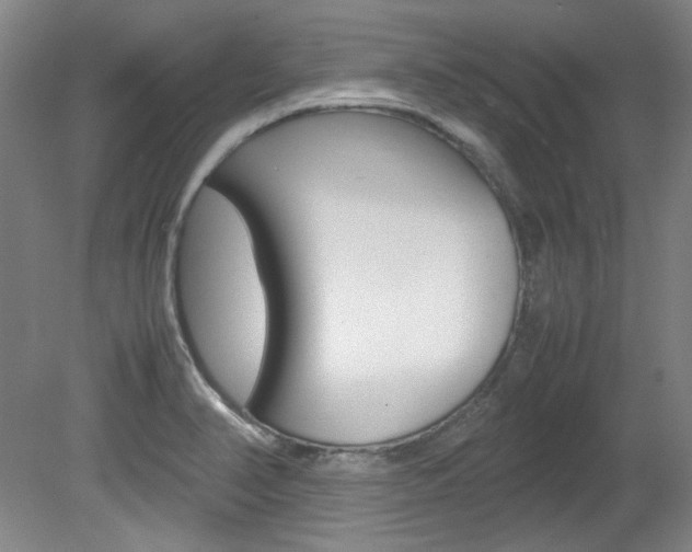 X0000082151374200701191012