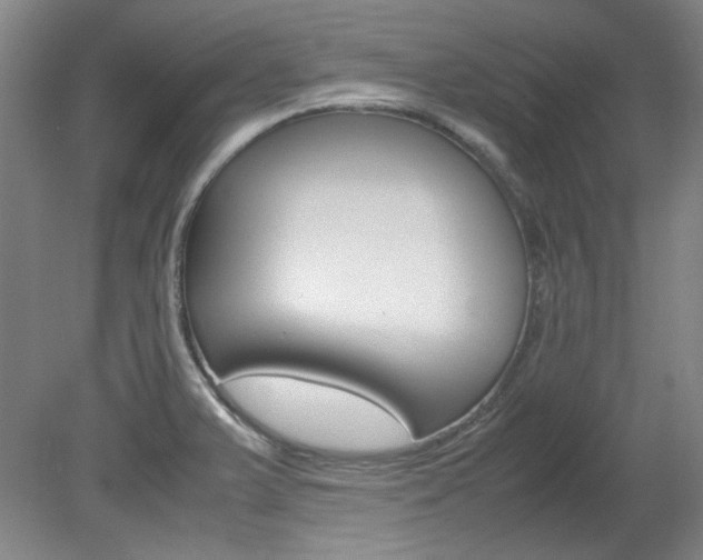 X0000082151375200701191012
