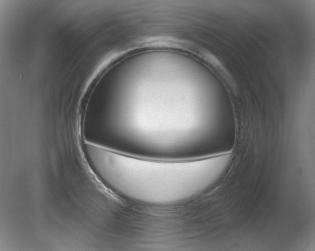 X0000082151376200701191012