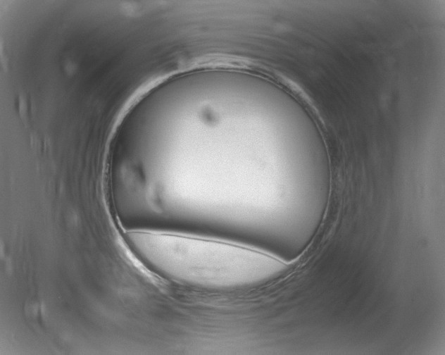X0000082151379200701191012