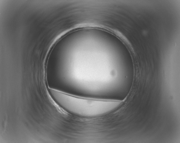 X0000082151380200701191012