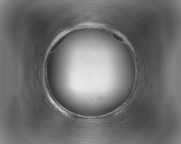 X0000082151381200701191012