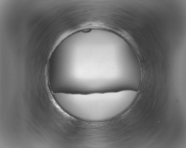 X0000082151382200701191012