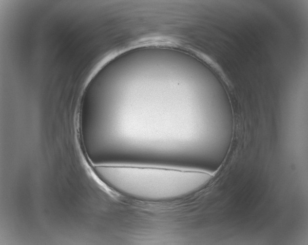 X0000082151383200701191012
